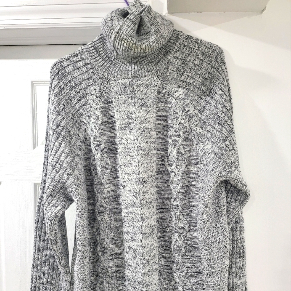 Express Turtleneck Sweater